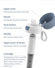 Load image into Gallery viewer, Tritan water bottle